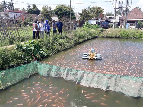 Tingkatkan Ekonomi Warga Desa Dinas Perikanan Dan Kelautan Bentuk