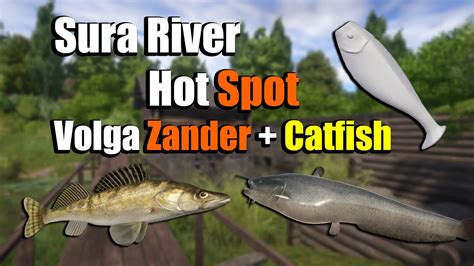 Russian Fishing 4 RF4 Sura River Hot Spot Volga Zander And Catfish