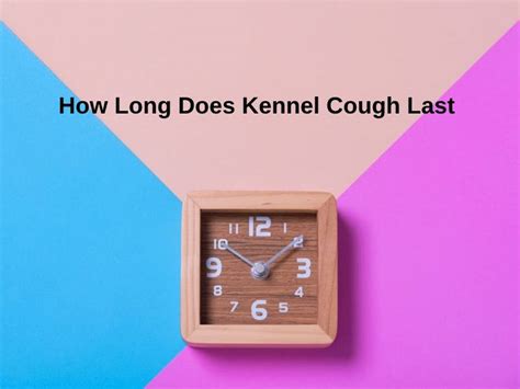 How Long Does Kennel Cough Last (And Why)?