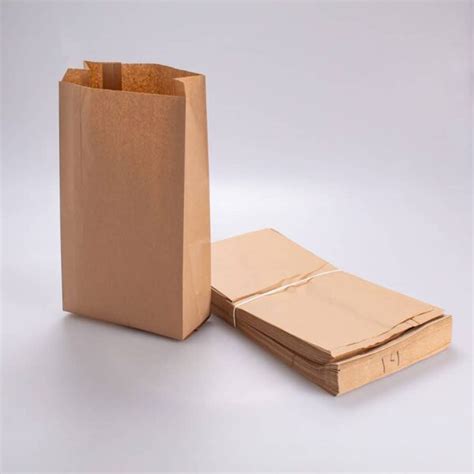 Bolsa De Papel Panera 14 100 Pz Arerofast