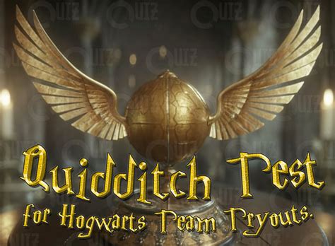 Quidditch Test For Hogwarts Team Tryouts