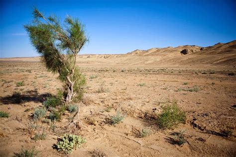 Nature Of Uzbekistan Uzbekistan Travel