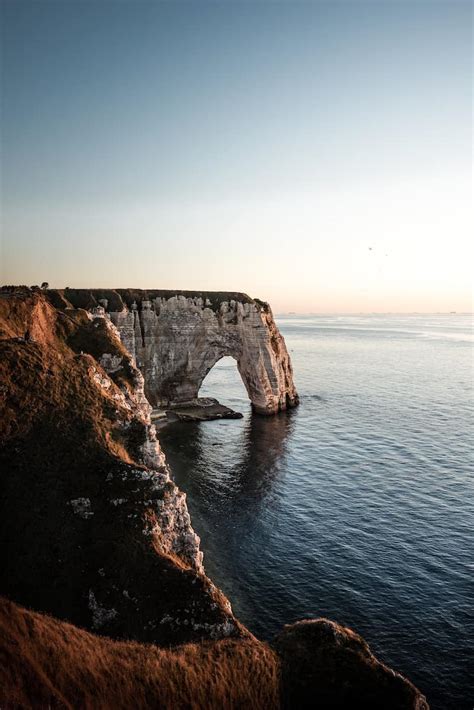 Plages Autorisées aux Chiens en Normandie TOP 5