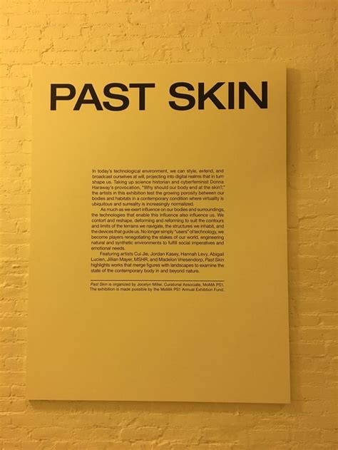 Past Skin Moma Ps1 Night At The Museum Emotions Skin