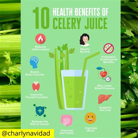 Health Benefits Of Celery Celery Juice Benefits Celery Benefits