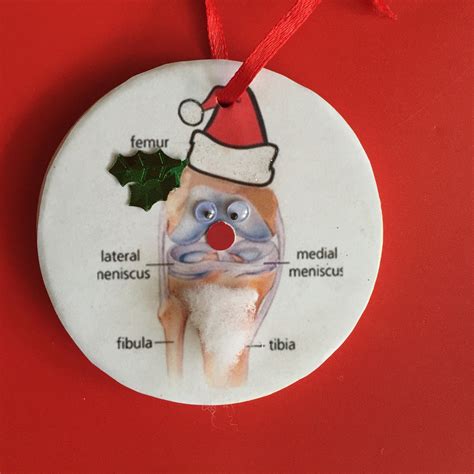 Holiday Medical Ornaments Gretchen Neal Artist