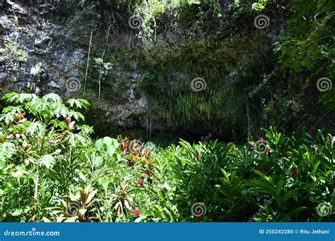 Fern Grotto At Wailua River State Park On Kauai Island In Hawaii Stock