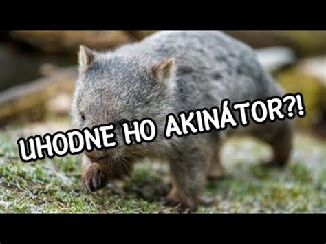 Dok U Porazit Akinatora Youtube