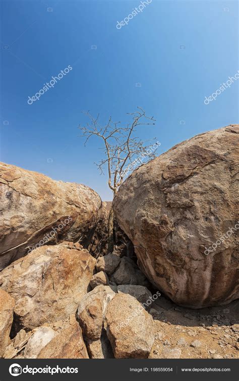 Millennial Giant Stones Iona Natural Park Angola Cunene — Stock Photo