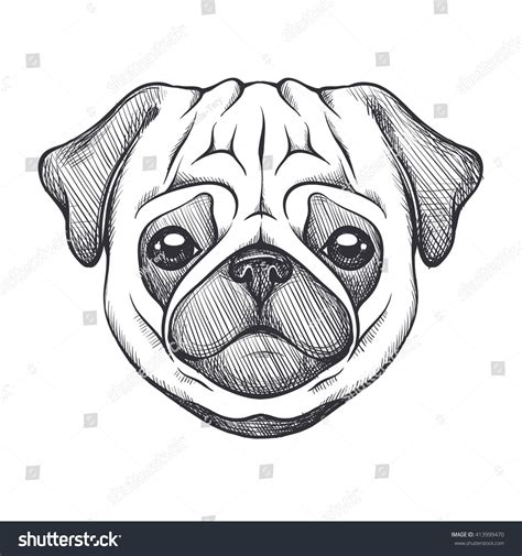 Cute Pug Portrait Dog Sketch Style Stock Vector Royalty Free