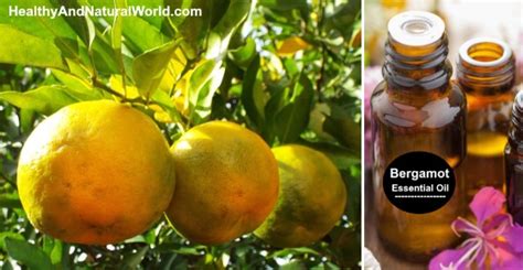 Bergamot Essential Oil The Best Health Benefits And Uses