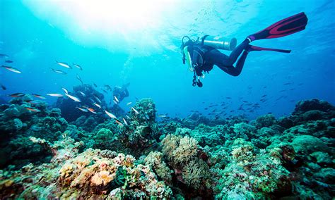 Top 10 Things To Do In Jeddah Diving And Shopping In Saudi Arabia