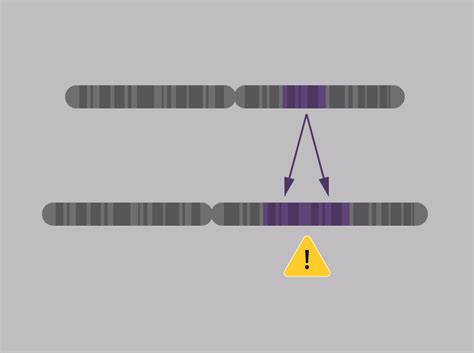 New Method Uncovers Strong Effects Of Copy Number Variation In The