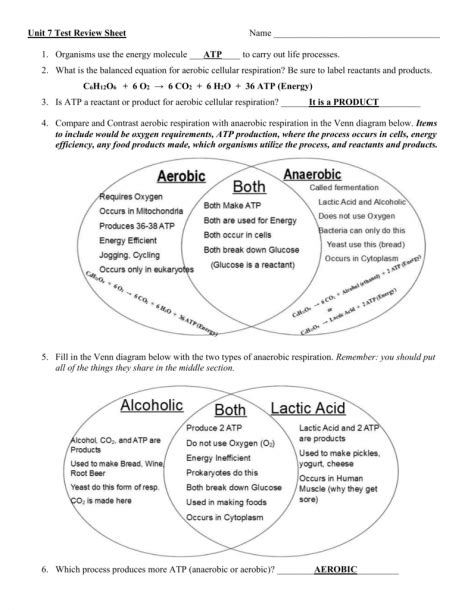 Aerobic Vs Anaerobic Venn Diagram Pin On Medical Drugs