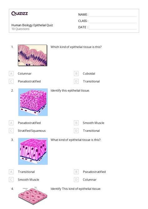 50 Human Biology Worksheets On Quizizz Free Printable