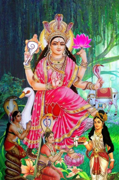 Pin by Vasantha Mani on அமமன Shiva parvati images Photo art