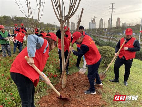 春和景明植树忙 衡阳市启动2023年“城市绿化周”活动衡阳湖南频道红网