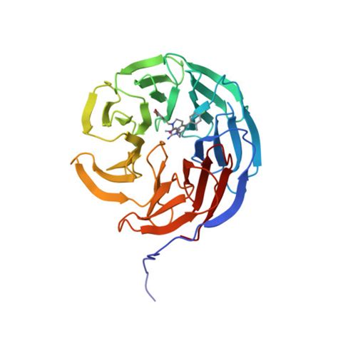 Rcsb Pdb 6ucs Discovery And Structure Based Optimization Of Potent