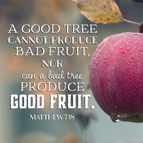 A Good Tree Cannot Produce Bad Fruit Nor Can A Bad Tree Produce Good