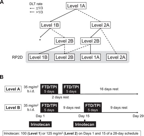 Study Design And Treatment A Dose Level Modification Based On