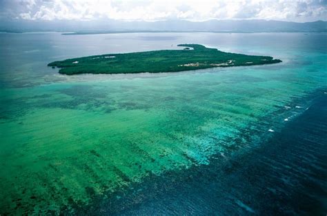 Coral Reefs 101 Everything You Need To Know EcoWatch