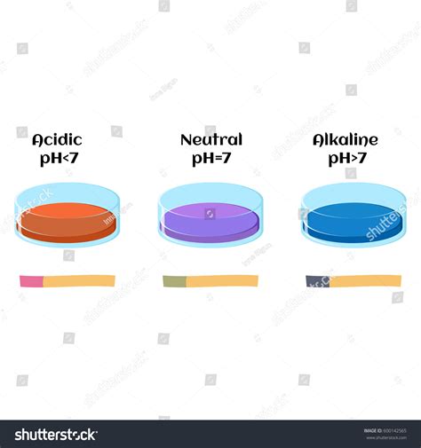 60 Ph Acid Base Salt Images, Stock Photos, 3D objects, & Vectors ...