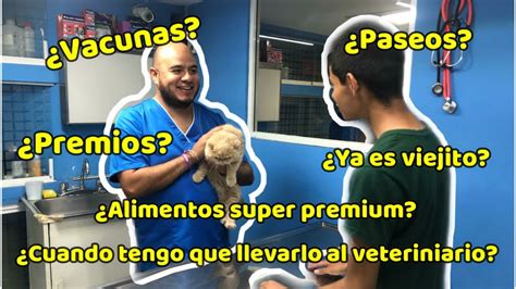 Preguntas Frecuentes En La Veterinaria Preguntas Y Respuetas Youtube