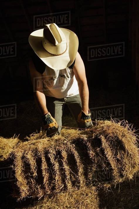 Man Moving A Bale Of Hay Stock Photo Dissolve