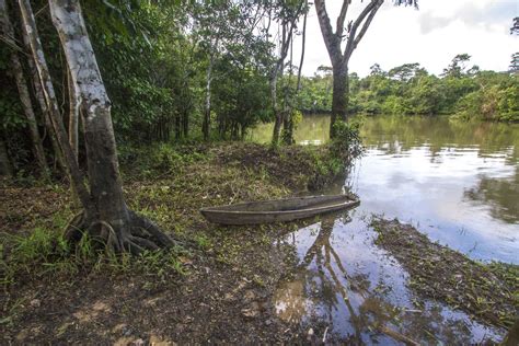 Parque Nacional La Paya Colombia Sergio Garrido Uicn Flickr