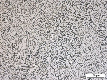 Optical Micrographs Showing Microstructure Of Alsi Cu Alloy Modified