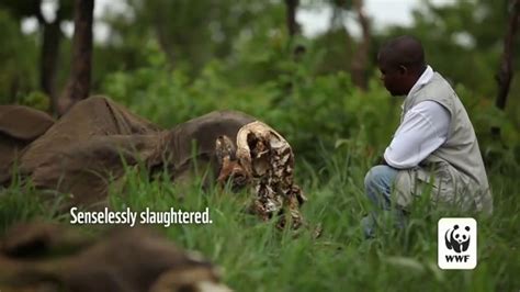 World Wildlife Fund TV Commercial Protecting The Elephants Song By