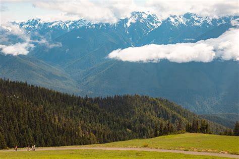 21 Best Olympic National Park Hikes You Must Do