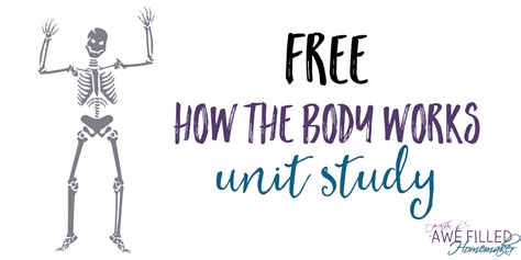 How The Body Works Unit Study