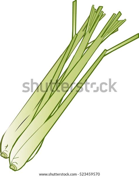 Lemongrass Cartoon Vector Vector Có Sẵn Miễn Phí Bản Quyền 523459570