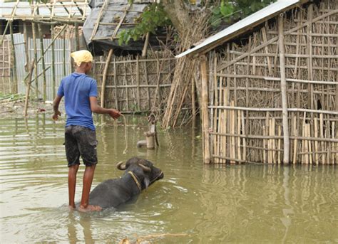 On-ground situation in Purnia, Bihar | Goonj