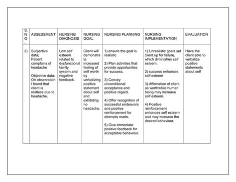 Care Plan2 Docx Mental Health Nursing PPT