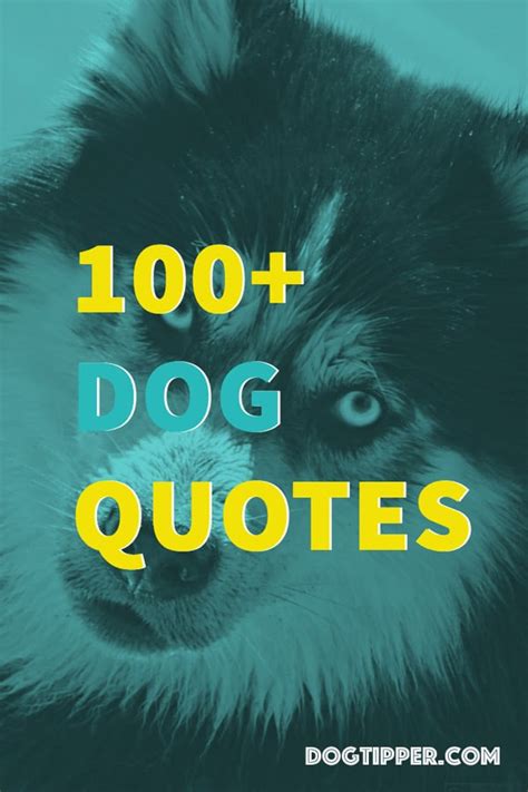 100+ Dog Quotes | DogTipper.com