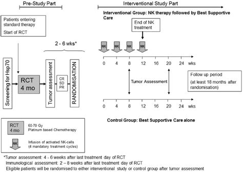 Scheme Of The Phase Ii Clinical Trial In The Pre Study Part The