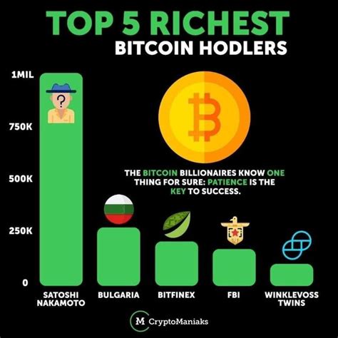 What Are Top Richest Bitcoin Holders Investing For Beginners Crypto