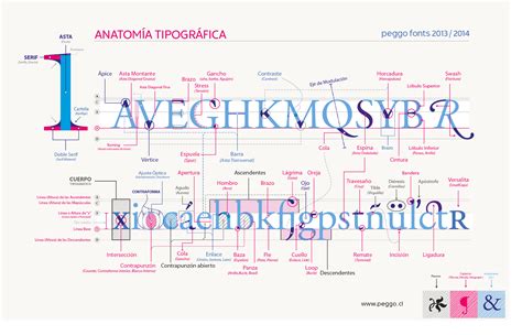 Morfologia De La Tipografia Anatomia Tipografica Tipografia Tipografic Nbkomputer