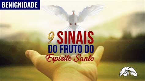 Os Sinais Do Fruto Do Esp Rito Santo Benignidade Quarta Feira