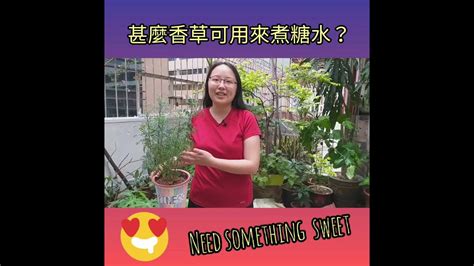 甚麼香草可用來煮糖水？ 靜心農莊 Mindful Garden Youtube