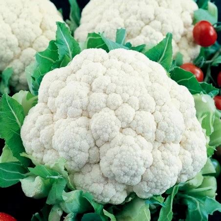 Semillas De Coliflor Var Snowball Precio 1 85