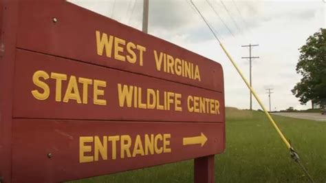 West Virginia Wildlife Center In Upshur County Reopens