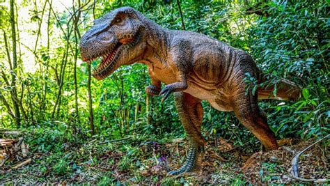 Parque De Dinossauros Gigantes Ser Inaugurado Em Miguel Pereira Em