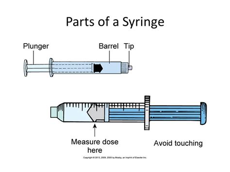 41 Parts Of A Syringe Diagram Diagram Online Source