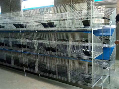 Commercial Rabbit Cages For Rabbit Farming