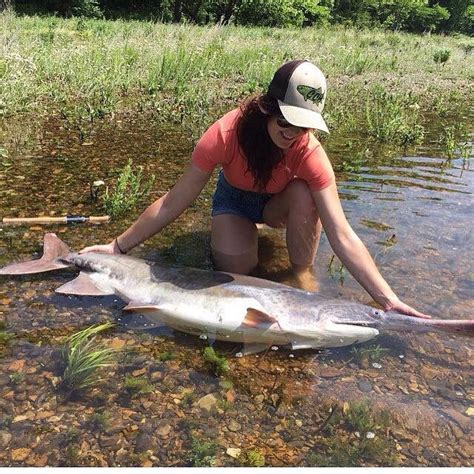 Spoonbill Paddlefish on the fly Species, Fishing, Outdoor, Outdoors, Outdoor Games, The Great ...