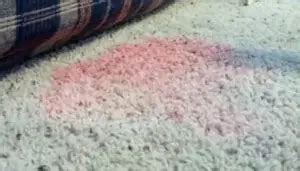 How To Get Red Gatorade Out Of Carpet 8 Methods Guide