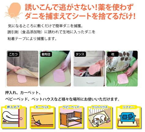 【楽天市場】【置くだけ簡単ダニシート10枚入り】2個以上代引送料無料5個で1個オマケ♪ダニ退治シート ダニ駆除シート だにダニシート 害虫